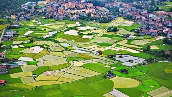 ĐỒNG BẰNG BẮC BỘ